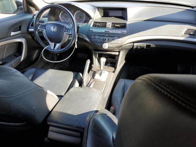 2010 Honda Accord EXL