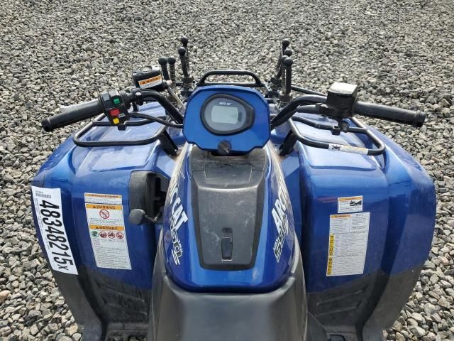 2010 Arctic Cat 550