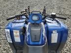 2010 Arctic Cat 550