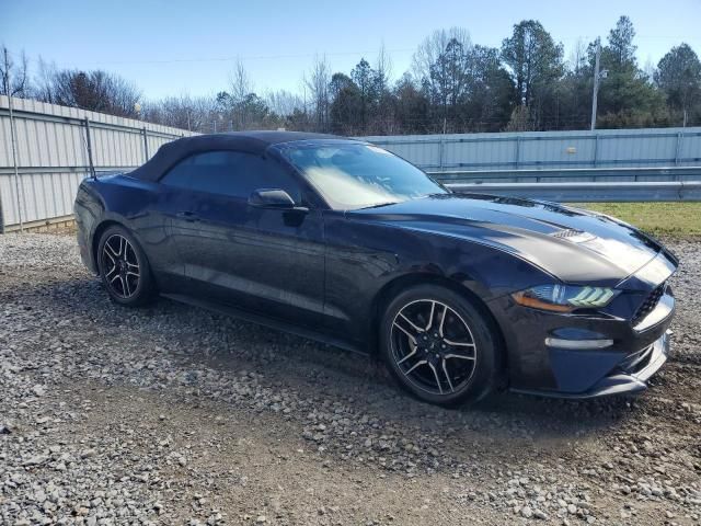 2019 Ford Mustang