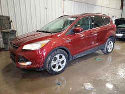 Ford salvage cars for sale: 2014 Ford Escape SE