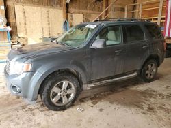 Ford Escape salvage cars for sale: 2010 Ford Escape XLT