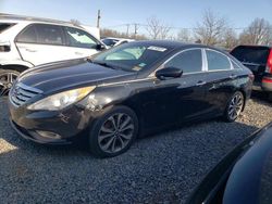 Hyundai salvage cars for sale: 2013 Hyundai Sonata SE