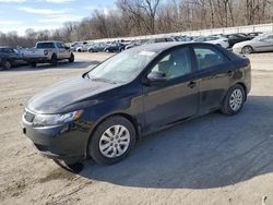 KIA Vehiculos salvage en venta: 2013 KIA Forte EX