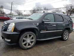 Cadillac salvage cars for sale: 2007 Cadillac Escalade Luxury