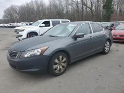 Honda Accord salvage cars for sale: 2008 Honda Accord EX