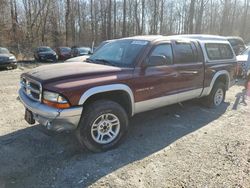 Dodge Vehiculos salvage en venta: 2002 Dodge Dakota Quad SLT