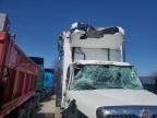 2019 International 4000 4300