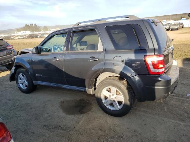 2008 Ford Escape HEV