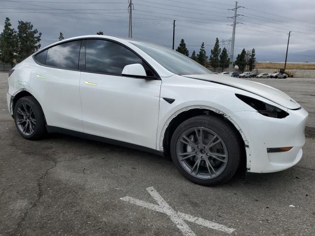 2025 Tesla Model Y