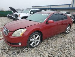 2004 Nissan Maxima SE for sale in Wayland, MI