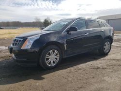 Cadillac salvage cars for sale: 2011 Cadillac SRX Luxury Collection