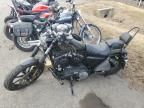 2019 Harley-Davidson XL883 N