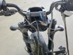 2023 Harley-Davidson RH1250 S