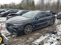 Toyota Camry salvage cars for sale: 2024 Toyota Camry SE Night Shade