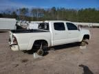 2010 Toyota Tacoma Double Cab
