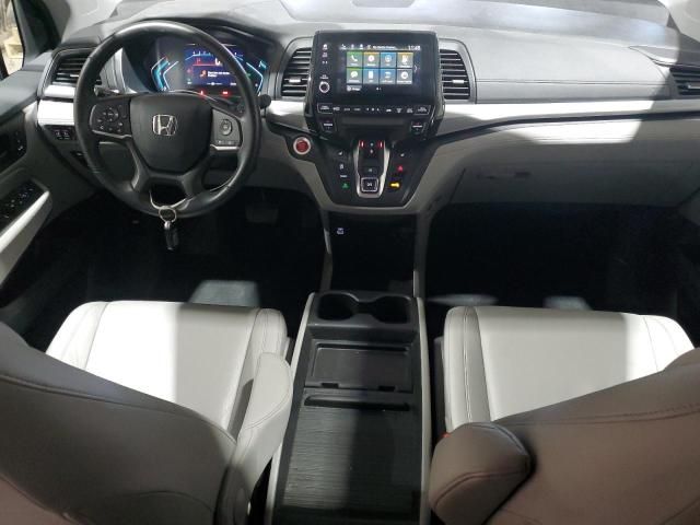 2023 Honda Odyssey EXL