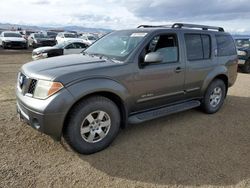 Nissan Pathfinder salvage cars for sale: 2005 Nissan Pathfinder LE