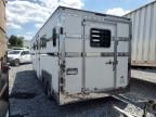 2003 Pegasus Horse Trailer