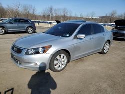 Honda salvage cars for sale: 2008 Honda Accord EXL