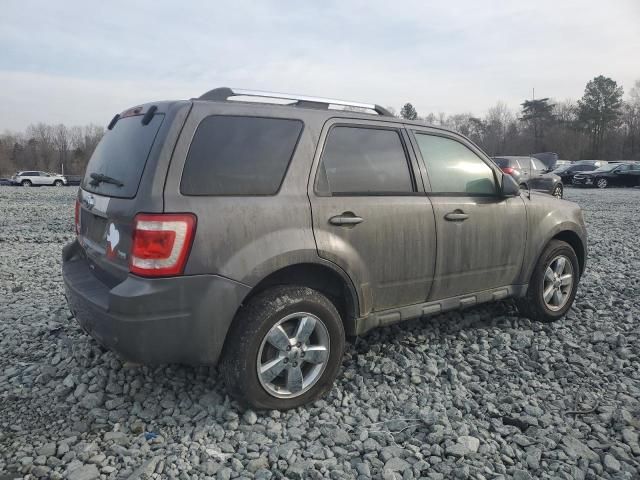 2012 Ford Escape Limited