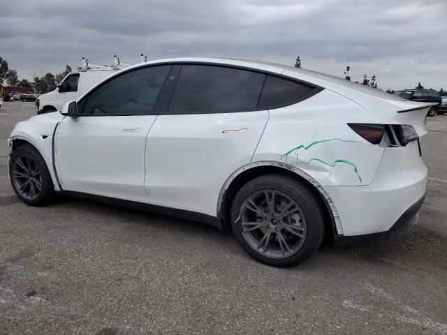2025 Tesla Model Y