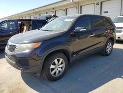 2011 KIA Sorento Base for sale in Louisville, KY