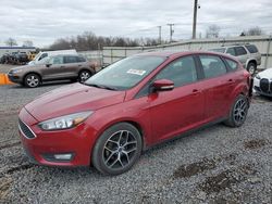 Ford Focus sel salvage cars for sale: 2017 Ford Focus SEL