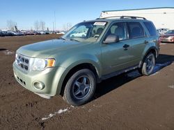 2008 Ford Escape XLT for sale in Rocky View County, AB