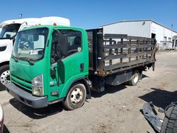 Salvage trucks for sale at Riverview, FL auction: 2011 Isuzu NPR