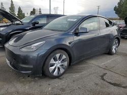 Tesla Model y Vehiculos salvage en venta: 2024 Tesla Model Y