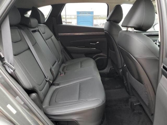 2024 Hyundai Tucson SEL Convenience