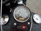2016 Harley-Davidson Fxdb Dyna Street BOB