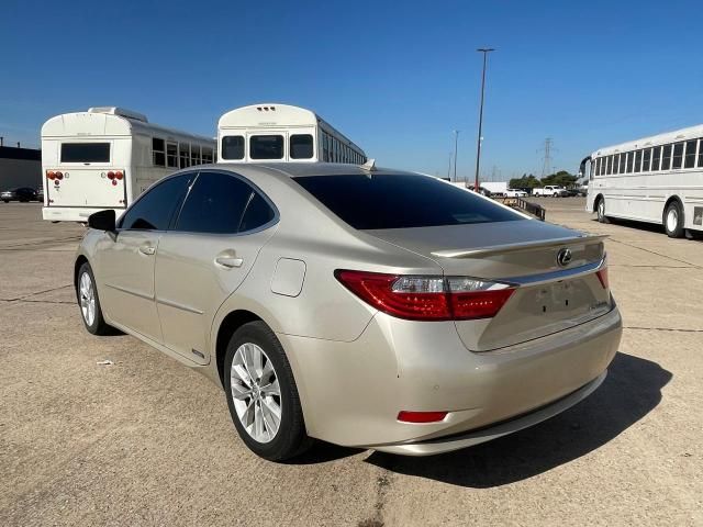 2013 Lexus ES 300H