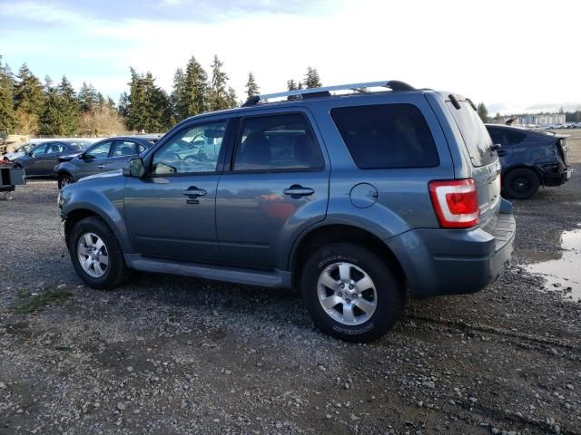 2011 Ford Escape Limited