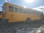 2019 Blue Bird School Bus / Transit Bus