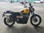 2024 Triumph Scrambler 900