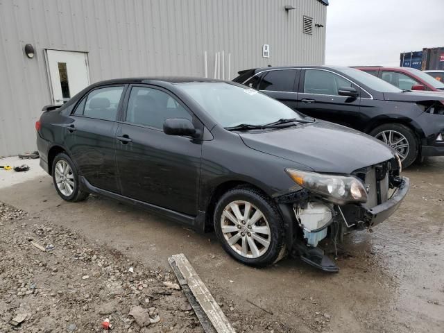 2010 Toyota Corolla Base