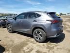 2019 Lexus NX 300H
