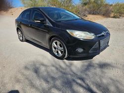 Ford Focus salvage cars for sale: 2013 Ford Focus SE