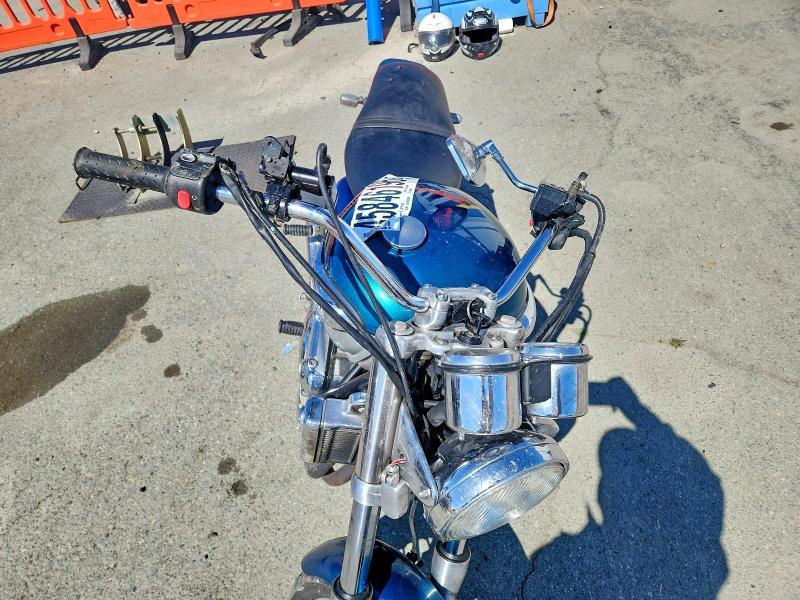 1996 Trum Adventurer