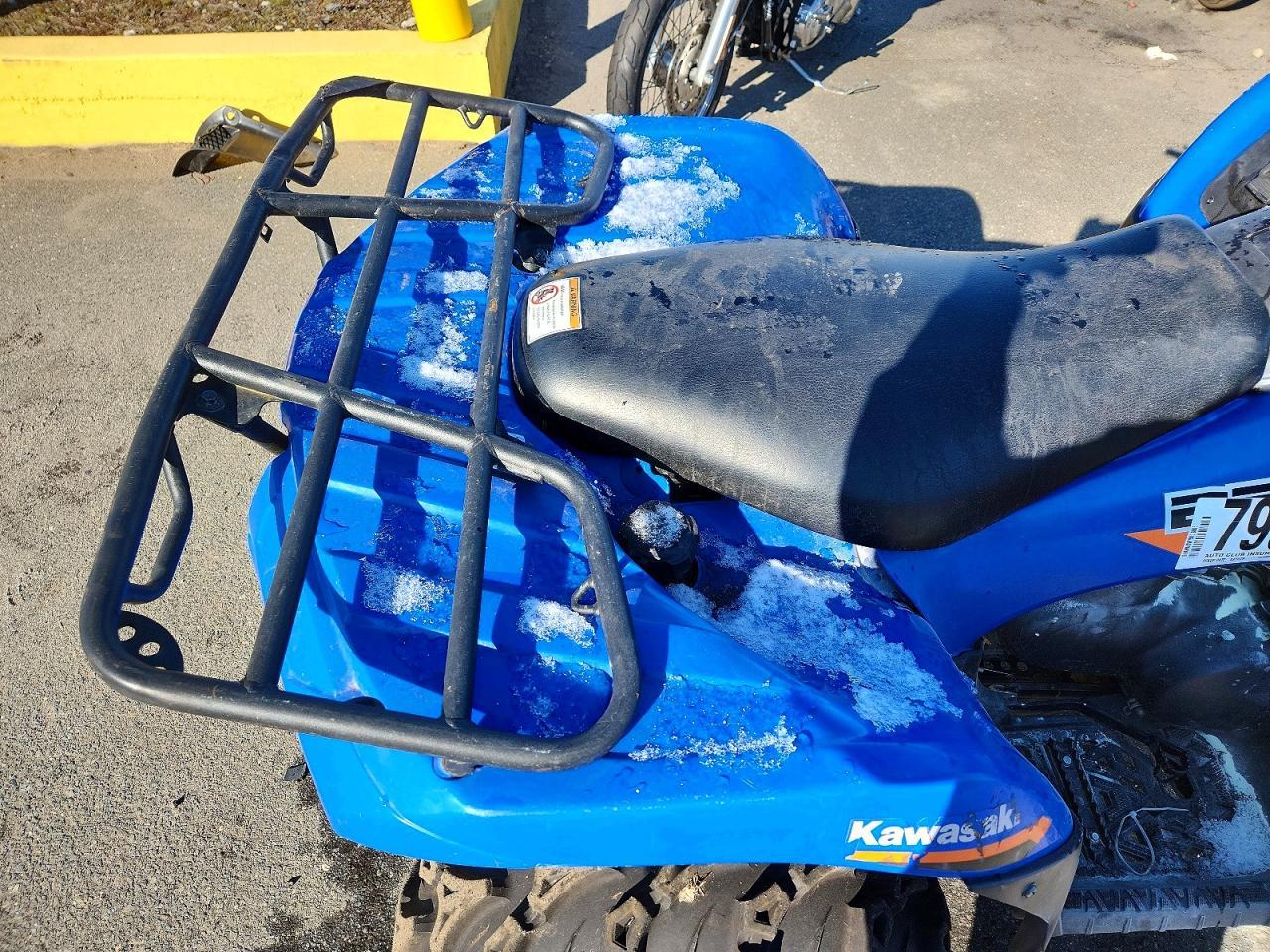 2019 Kawasaki Bruteforce 750 ATV