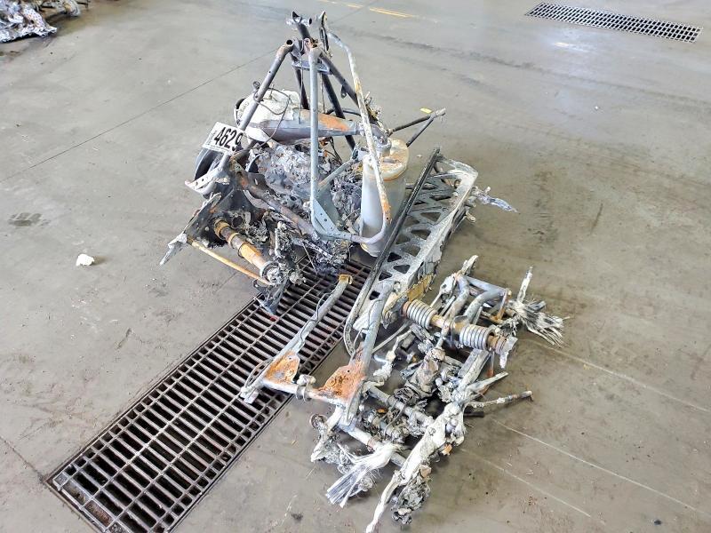 2023 Arctic Cat Arctic cat