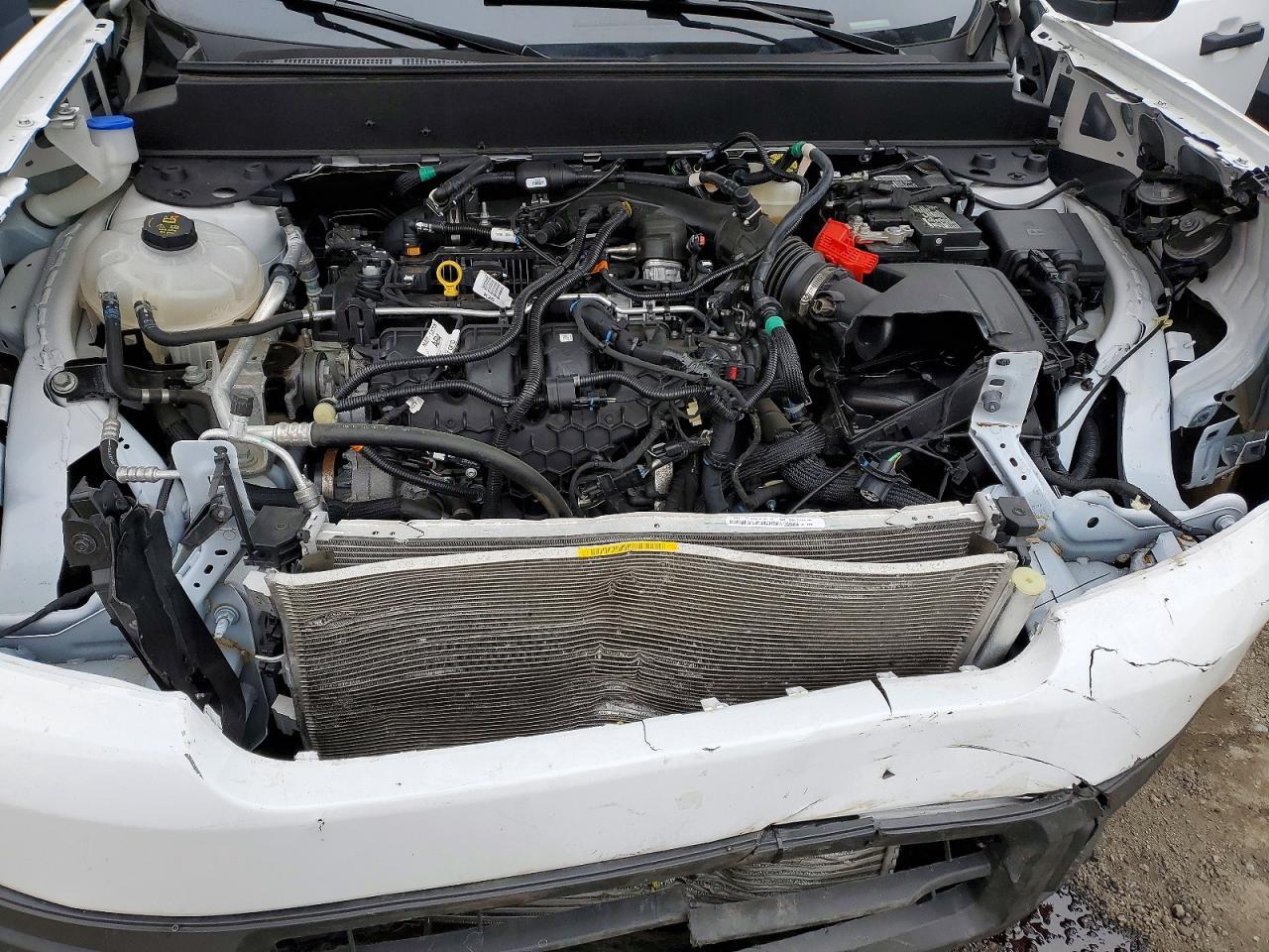 2024 Ford Maverick AWD Crew Cab 2.0L XLT