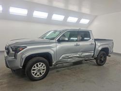 Salvage trucks for sale at Van Nuys, CA auction: 2025 Toyota Tacoma SR5