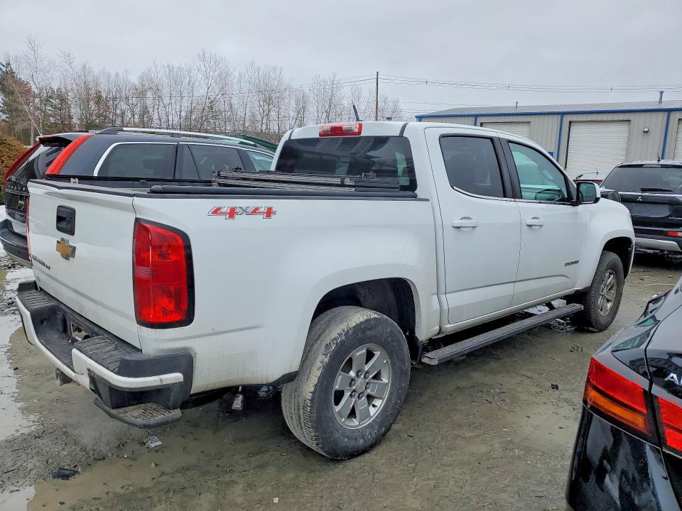 2019 Chev Colorado