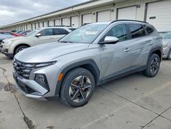 2025 Hyundai Tucson sel en venta en Louisville, KY