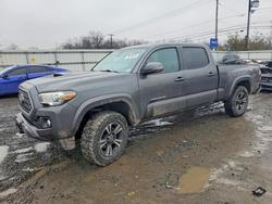 Salvage trucks for sale at Hillsborough, NJ auction: 2019 Toyota Tacoma TRD Sport