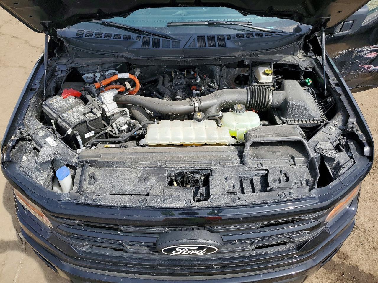 2025 Ford F150 XLT