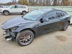 2023 Tesla Model 3 for sale in Brookhaven, NY